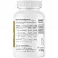 CURCUMIN-TRIPLEX3 500 mg/Kap.95% Curcumin+BioPerin