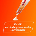 FENIHYDROCORT Creme 0,25%